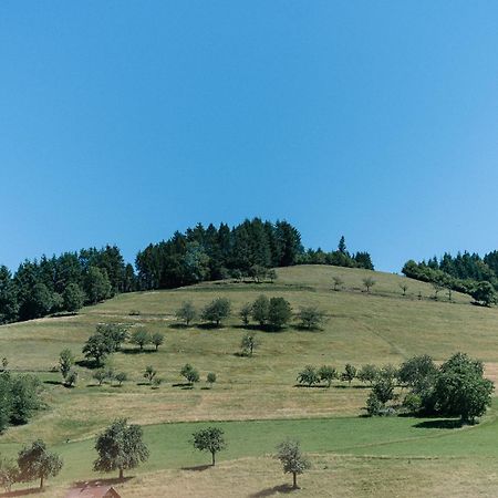 Moderne 2 Zi.-Fewo Blackforest Art Barrierefrei Naehe Freiburg ซีมอนส์วัลด์ ภายนอก รูปภาพ