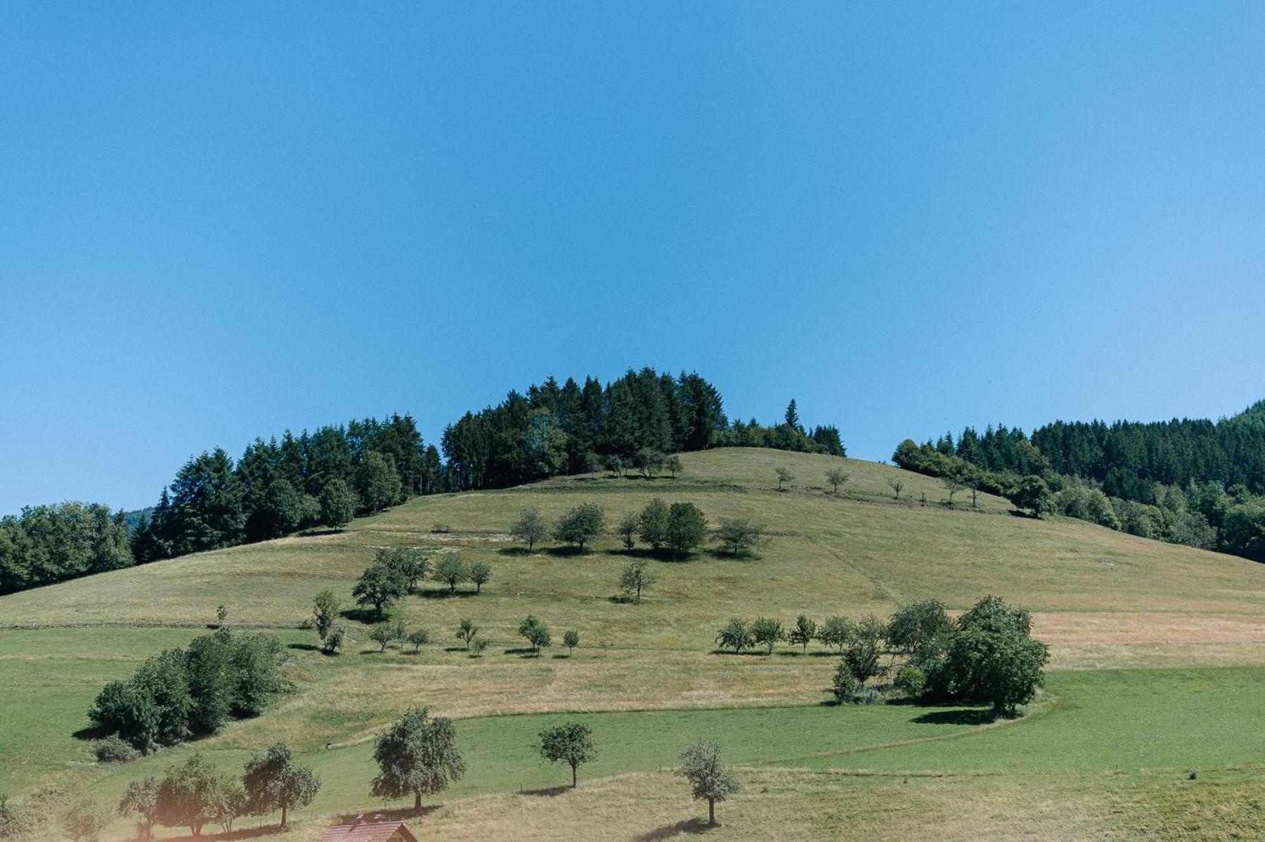 Moderne 2 Zi.-Fewo Blackforest Art Barrierefrei Naehe Freiburg ซีมอนส์วัลด์ ภายนอก รูปภาพ